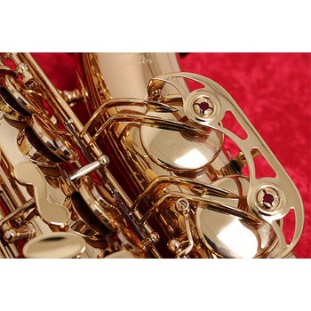 VALKYRIE Eb ALTO SAXOPHONE - "DOUBLE ARM" GOLD LACQUER BODY & KEYS - PRO PADS - 352L