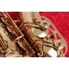 VALKYRIE Eb ALTO SAXOPHONE - "DOUBLE ARM" GOLD LACQUER BODY & KEYS - PRO PADS - 352L