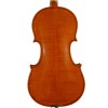 Molinari 520A FLORENTINE SERIES 4/4 Size Violin Outfit