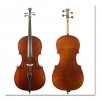 Angel Taylor - All Sizes - Cello Outfit - 110 Outfit