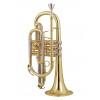 ZO Cornet ZCT-2000